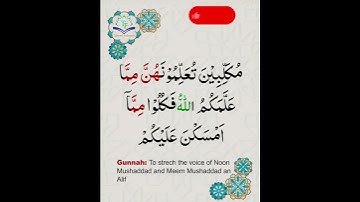 Learn Tajweed of Surah al-maidah Ayat 4 | تعلم التجويد - سورة المائدة | Tajweed Rules + Practice