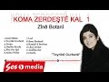 Koma Zerdeştê Kal - Teyrîkê Gurbetê