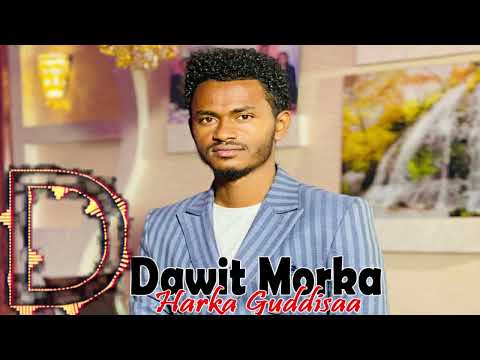 Dawit Morka Harka Guddisaa 
