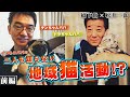 【松井一郎と橋下徹】野良ネコ？保護ネコ！？皆に知ってほしい地域猫活動！！【前半】