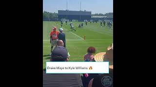 Drake Maye drops a DIME to Kyle Williams who SNAGS it ONE-HANDED 😳🔥