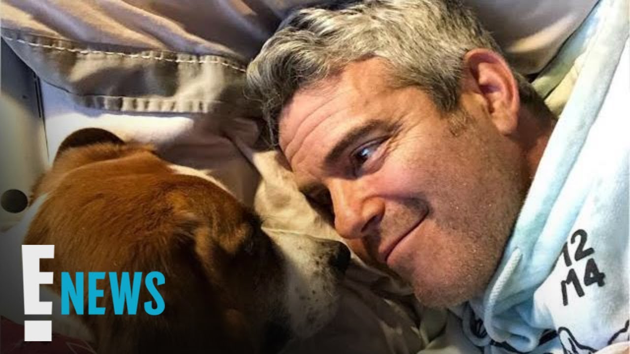 Andy Cohen Fires Back at 