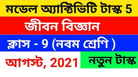 class 9 life science model activity task part 5 answer | life science activity task answer 2021 new