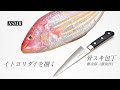 【ASMR】魚屋も使う包丁 骨スキ包丁でイトヨリダイを捌く【藤次郎藤寅作】【鯛のさばき方】【魚さばき】