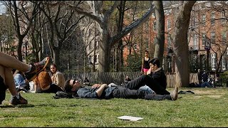 Information Top Five Places to Nap at NYU News