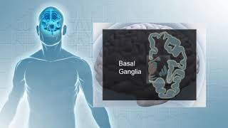DBS   Approaches to Deep Brain Stimulation