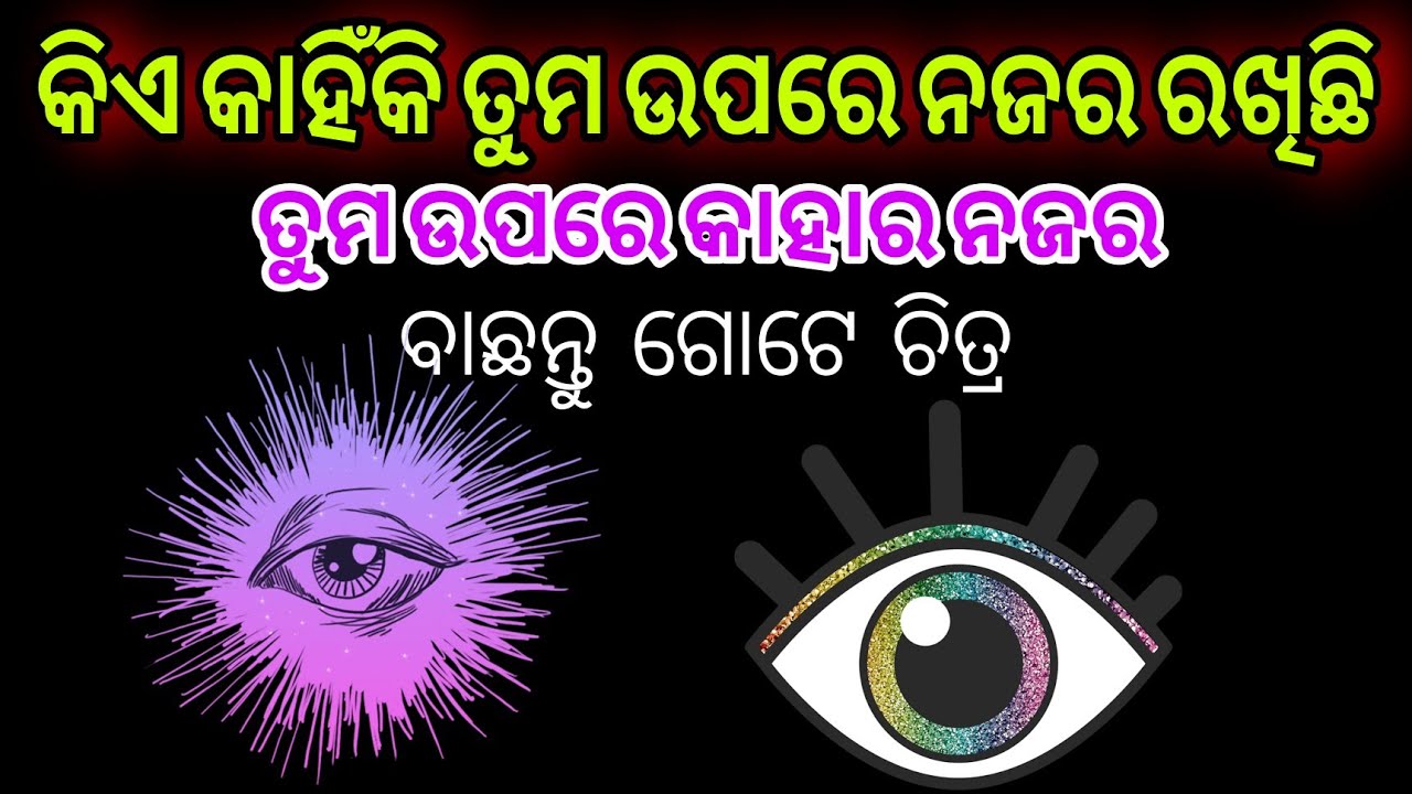 Pick a card Odia 🧿odia astrology 📌 Odia Tarot card reading