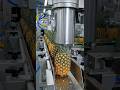 Inside a Massive Pineapple Juice Factory 🍍 | Full Production Process #factory #asmr #viral #food