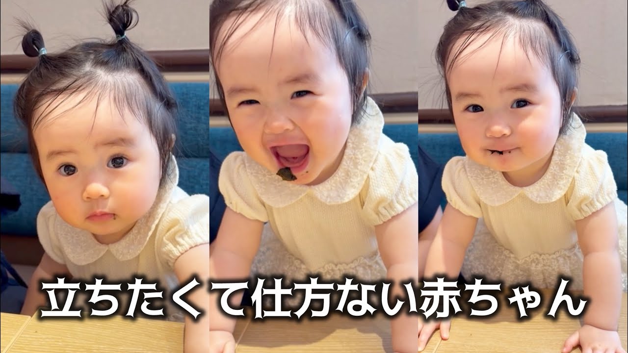1 year and 1 month old] 👶Lunch at a cafe👶 - YouTube
