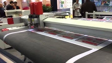 iECHO Roll material auto feeding