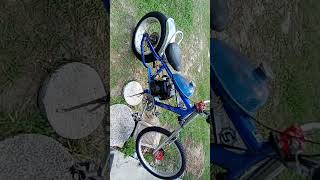 Shwinn Stingray O.C.Chopper Dave Dawg Custom  49cc 4 cycle  #Motorbikes #Motorbikers #Coolbikes