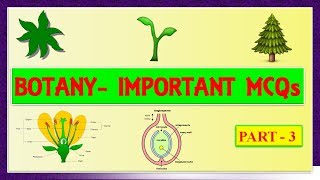 Botany Important Mcqs Part -3 ll SSC ll Net ll JRF ll Medical and all agricultural exams .