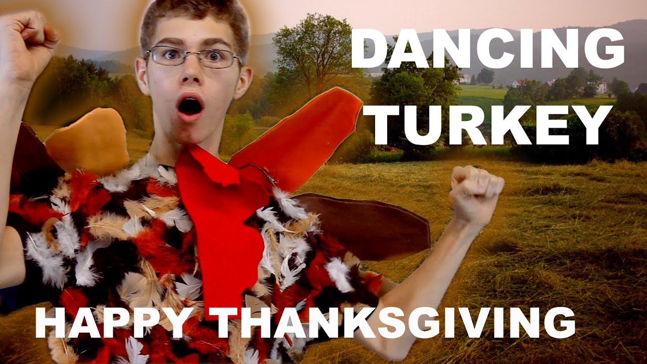 Dancing Turkey Happy Thanksgiving Youtube