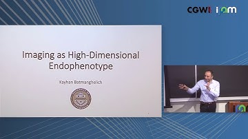 Kayhan Batmanghelich: "Imaging as High-Dimensional Endophenotype"