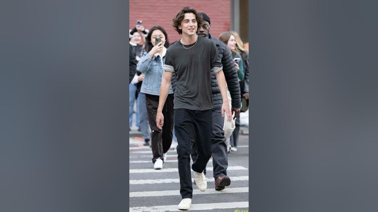 Let Timothée Chalamet Inspire Your Autumn Outfits — The Outlet