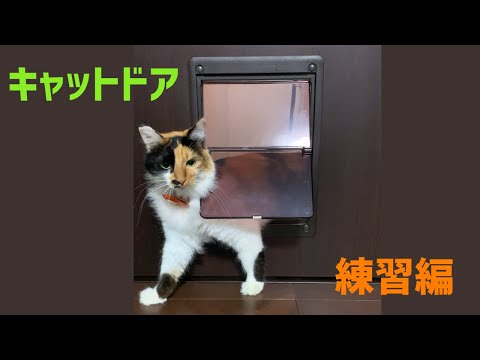 キャットドア・ペットドアの取り付け　安心の法人対応☆