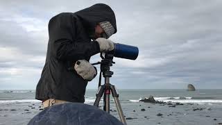 Seattle Aquarium Sea Otter Foraging Survey Research