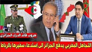 تجاهل المغرب يدفع الجزائر لإستدعاء سفيرها..  و قائد الدرك يفر من البلاد بأسرار عصابة النظام العسكري