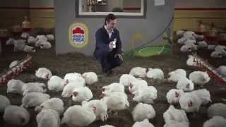 Наша Ряба Тв - Реклама Nasha Ryaba Tv Commercial