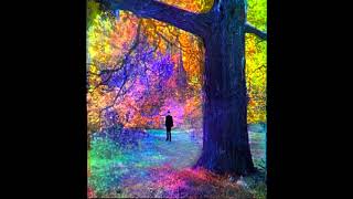 Lovely John A Tribute To John Lennon By Ruben Rada Featuring Hugo Fattoruso