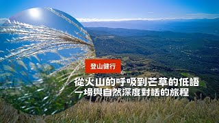 秋天最美風景！七星山芒花爆炸盛開，美到忘記呼吸 8.06km、3h00m #台北景點 #台北步道 #退休景點