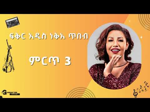 ፍቅር አዲስ ነቅአ ጥበብ ምርጥ 3 ዘፈኖች