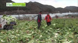 생방송 투데이 131128 #10(4)