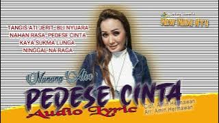 NUNUNG ALVI - AUDIO LYRIC PEDESE CINTA  CIPT. AMIN HERMAWAN