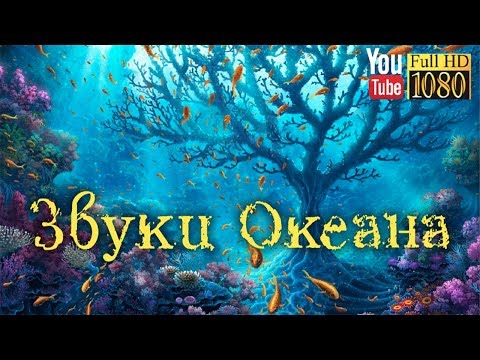 Смотреть клип 15 мин 🎵 Лучшая Лаунж Музыка для Релакса 🎵Спокойная Эмбиент Мелодия на Каждый День 🎵Звуки Океана онлайн бесплатно в качестве Смотреть клип 15 мин 🎵 Лучшая Лаунж Музыка для Релакса 🎵Спокойная Эмбиент Мелодия на Каждый День 🎵Звуки Океана онлайн бесплатно в качестве