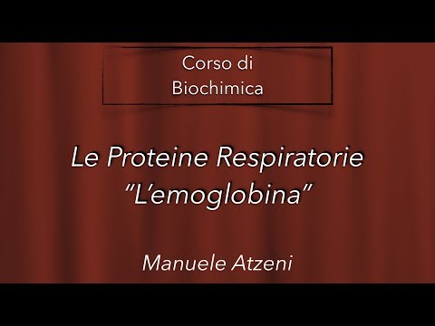 Video: Che cos'è l'emoglobina e perché è una proteina importante?