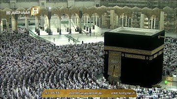 فجرية فاقت الوصف | خواتيم سورة الزمر | 21-6-1441هـ| للشيخ د- ماهر المعيقلي