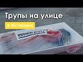 Трупы на площади в Испании. Шок!!!