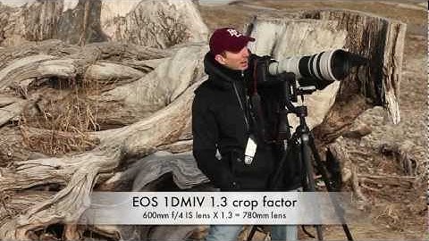 What The Flash | Keeping a Fresh Eye | With Bob Davis