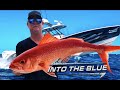 HUGE *QUEEN SNAPPER* in 1,000 FEET OF WATER!! | FISHING the FLORIDA KEYS | Into the Blue Fishing