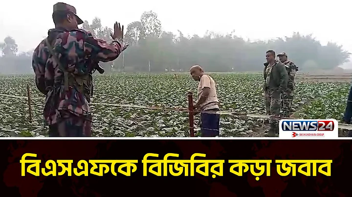 বিএসএফকে বিজিবির কড়া জবাব | BGB | BSF | News24