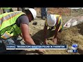 PHOTOS: Rare triceratops fossil found in Thornton at construction site