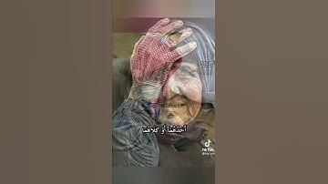 قران كريم باحلا صوت وليد الدليمي