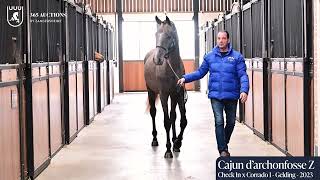 Cajun d’archonfosse Z