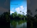 Beauty of Kerala ❤️ #kerala #trip #water #explore #shorts #nature #love