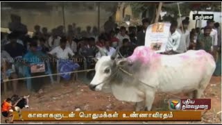Jallikattu enthusiasts protest with their bulls in Thanjavur screenshot 3