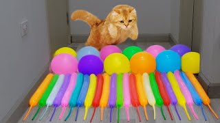 Cats vs Colorful Water Balloons | Test Cats IQ 😂