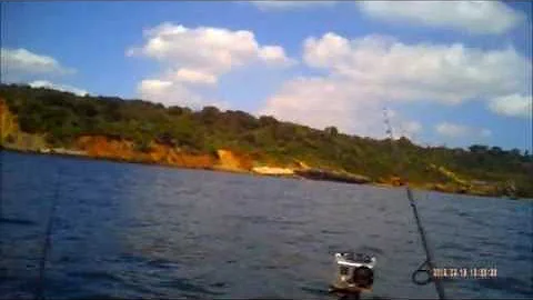 Catching Garfish on a Knotless Hook