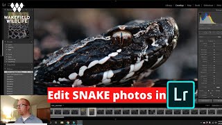 How To Edit Snake Photos in Lightroom! screenshot 4