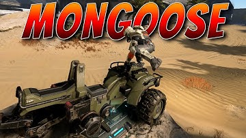 I Drove The HALO INFINITE MONGOOSE - My First Impressions! Behemoth Gameplay!