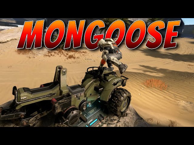 Master Mongoose Driver - UGC - Halo Infinite