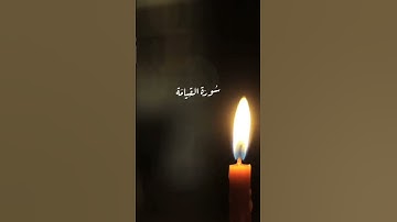 #سورة_القيامة #surah Al-qiyãmah - #surat Al-qiyamah #دعاء #قرآن #قران_كريم #قران #quran #coran