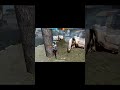WAIT FOR END 😱😱 #shorts  #freefire #entertainment #gaming #funny