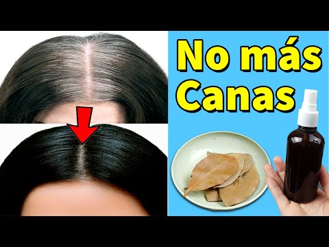 Video: Cómo convertir el cabello seco en un cabello sano (con imágenes)