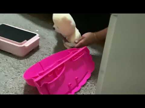help.mp4