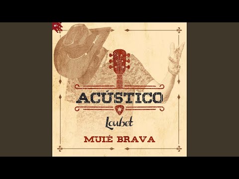 Muié Brava (Acústico)